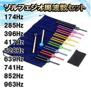BIOSONICS 音叉 チューニング 432Hz チューナー 432ヘルツ 楽器 : THE