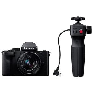 LUMIX Panasonic パナソニック ミラーレス一眼カメラ DC-G100D ボディ