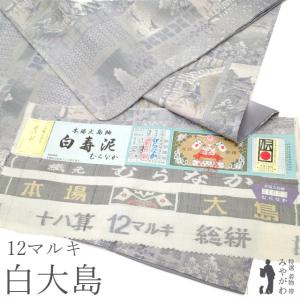 最高峰本場大島紬 極上細微絣 十八算12マルキ/十二マルキ 純泥染 紬