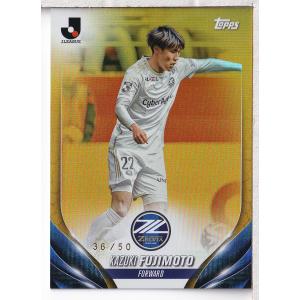 24J TE サンフレッチェ広島 満田誠 サンチェ GEM 30枚限定 : スポーツ