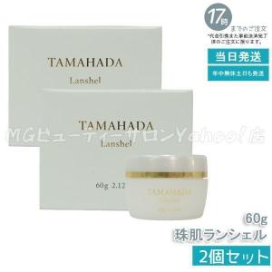 TBC epiplus エピプラス CSモイスチュアシートDX 2枚入り×20袋（ジェル