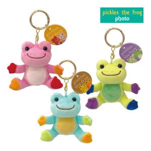 107213-275 かえるのピクルス pickles the frog にじいろピクルス
