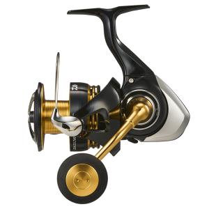DAIWA（ダイワ） スピニングリール 23レガリス LT6000D-H 23年モデル