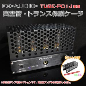 FX AUDIO [即納]FX-AUDIO- TUBE-P01J[シルバー]【チューニングモデル