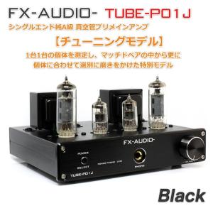 FX AUDIO FX-AUDIO- FX-501J[ブラック] TPA3118デジタルアンプIC搭載