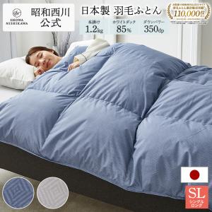 西川（nishikawa） 肌掛けふとん シングル 140×190cm クルブ LANVIN