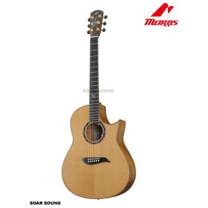 Morris W-30 1974年製 Acoustic Guitar アコースティックギター