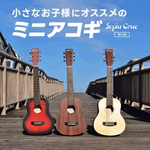 Mademu アコースティックギター 初心者16点セット 初心者 セット