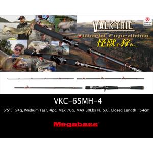 ヴァルキリー MEGABASS VALKYRIE World Expedition Multi VKS-76M-4