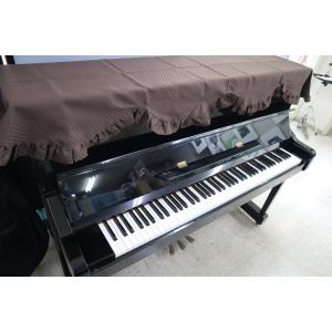 アコースティックギター 初心者 セット Sepia Crue FG-1/VS : 盛幸堂