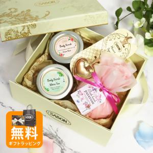 Aesop（イソップ） ボディケアセット ボディトリートメント＆ボディー