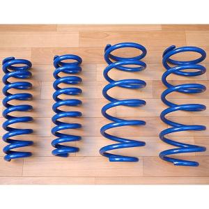 MOTORAGE モトレージ マッドフラップ（150プラド）青 フロント用