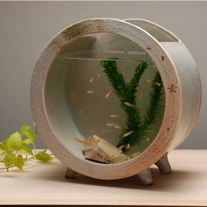 めだか鉢 陶器の水槽 陶器水槽 信楽焼の白金彩丸水槽（大） : 手づくり