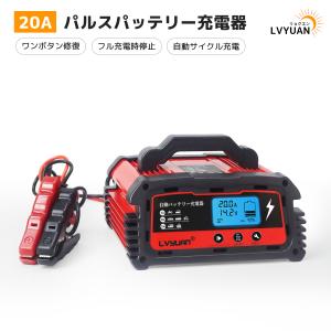 メルテック 大自工業 メルテックプラス 全自動 パルス充電器 12V/12A