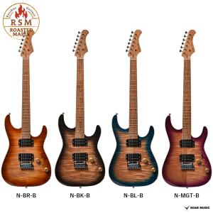 FUJIGEN（フジゲン） FGN FUJIGEN NST12RAL BK P-90タイプ Neo Classic