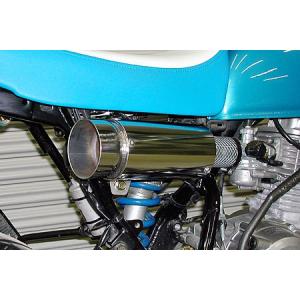 WirusWin エイプ100 ロッドショート マフラー/ウイルズウィン