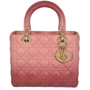 Christian Dior（クリスチャン・ディオール） BOOK TOTE バタフライ