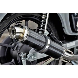 BEAMS（ビームス） バイク マフラー レブル250 8BK-MC49 パワー