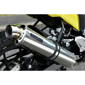 BEAMS（ビームス） BEAMS G349-53-S2J (SUZUKI : Vストローム250SX