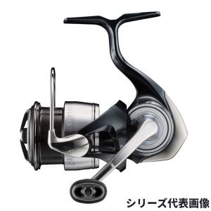 DAIWA（ダイワ） 【限定モデル】 19 セルテート (CP) LT2500S-XH