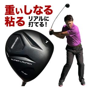 MEGA GOLF（メガゴルフ） ゴルフ練習器具 MEGA JAPAN EQ DRIVER ボール