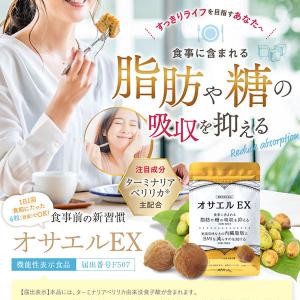 2袋セット 】 ターミナリア ダブル 120粒 協和食研 ［機能性表示食品