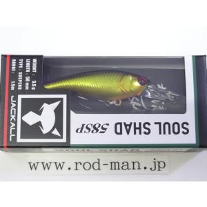 IMAKATSU（イマカツ） レイジーハードSW ＃898 マットチャート