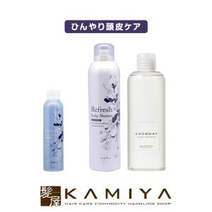レイラス シャンプー4000ml|フケ かゆみ 髪にやさしい 敏感肌 ヘアケア