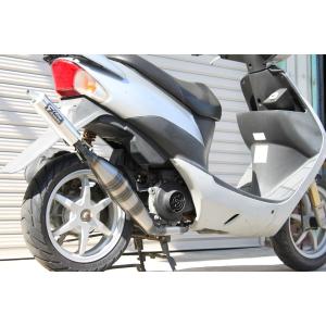 CHAMELEON FACTORY（カメレオンファクトリー） パラライザーIII