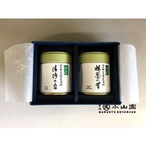 抹茶 宇治 丸久小山園 五十鈴 40g 缶詰（いすず） 50個入 薄茶 茶道