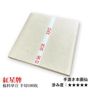色紙 大色紙 273×242mm 10枚 / 中国本画仙紙 : 筆匠 朱陽堂 - 通販