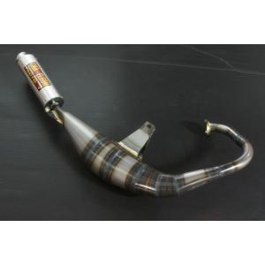 CHAMELEON FACTORY（カメレオンファクトリー） パラライザーIII