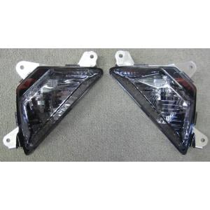 Kaedear（カエディア） CyberLED(サイバーLED) ウィンカー カスタム