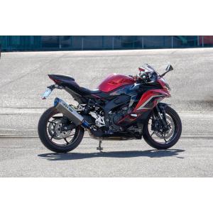 OVER RACING（オーバーレーシング） マフラー TT-Formula RS+PRO