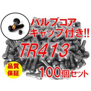 チューブレスバルブ エアバルブ tr413 100個 セット 車 タイヤ バルブ