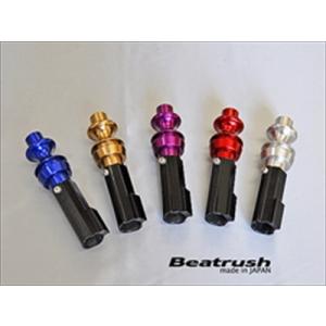 LAILE（レイル） 【LAILE/レイル】 Beatrush リバースノブ ブルー