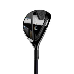 TaylorMade（テーラーメイド） P790 P790(2023) アイアン RAUNE i75