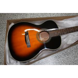 調整 弾きやすい FG-15 (FG15) 全8色 レジェンド アリア