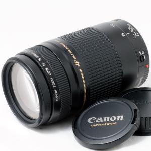 EFレンズ キヤノン 望遠レンズ CANON EF-S 55-250mm F3.5-5.6 IS II