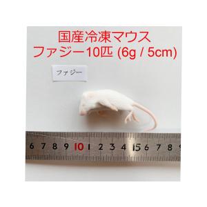 国産 冷凍マウス ピンクマウスM 10匹 冷凍餌 ~3g / 3cm ショップザ