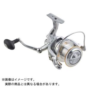 DAIWA（ダイワ） レガリス LT5000D-CXH : アングラーズプラザ岸波
