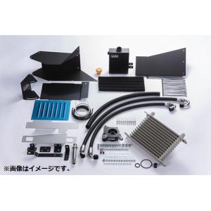 HKS（エッチケーエス） オイルクーラーキット 15004-AT014 ブラック S