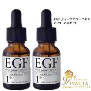 EGF 美容液 成長因子 大容量EGF ディープパワーエキスマキシマム 60ml