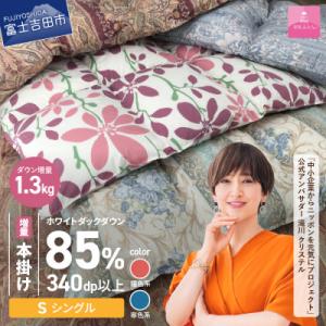 ふるさと納税 富士吉田市 訳あり 羽毛本掛け布団 増量 シングル お任せ