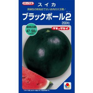 SK9-099 ブロッコリー種子 ペレット5000粒 【野菜種子】【サカタのタネ