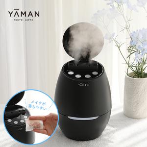 ナノケア パナソニック スチーマー W温冷エステタイプ ピンク調 EH