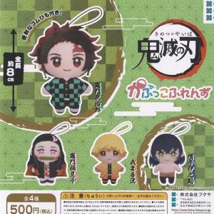 冨岡義勇】おねむたん 鬼滅の刃 スペシャルリミックス弐 : トレカ