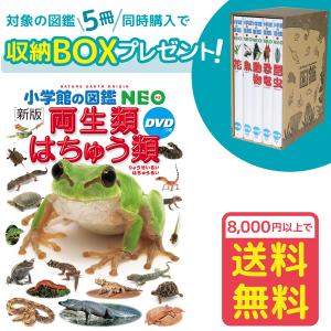 小学館の図鑑NEO［新版］科学の実験 DVDつき（収納BOX付・送料無料