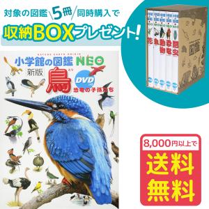 小学館の図鑑NEO［新版］魚 DVDつき（収納BOX付・送料無料・条件有