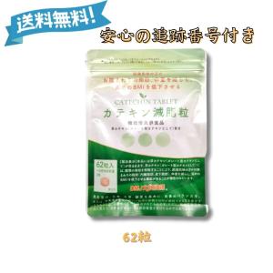 爆買WEEK ！ポイント最大+12％！】カテキン減脂粒 62粒(31日分) DMJ